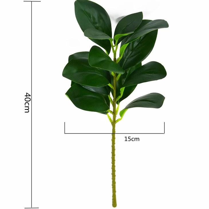 watercress leaf plant simulation plant