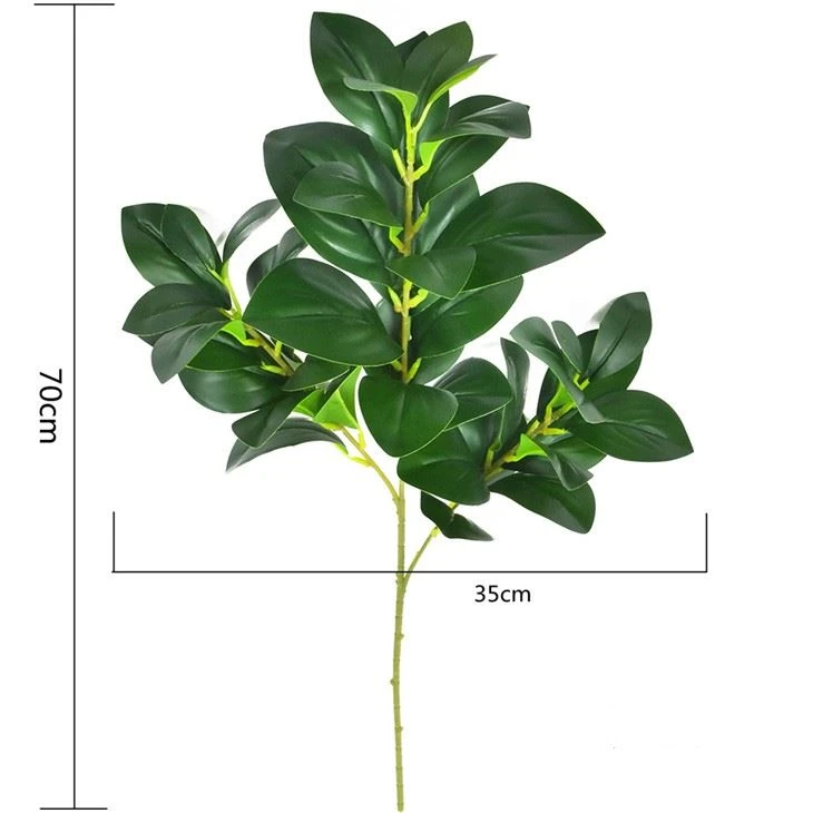 plant simulation plant watercress leaves