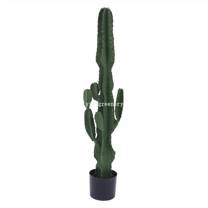 artificial cactus in pot