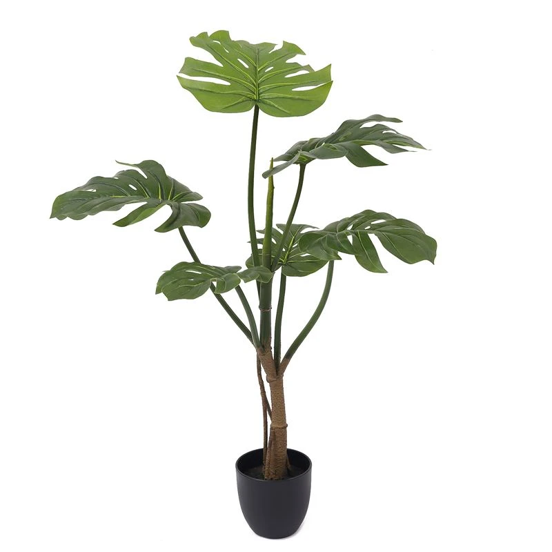 जहां नकली monstera पेड़ लागू करता है