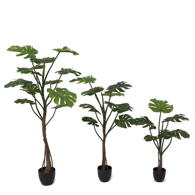 नकली monstera संयंत्र के लाभ क्या हैं