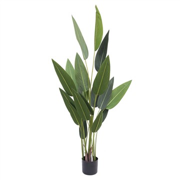 कृत्रिम पौधे क्यों हैं